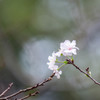 『手を取り合って』