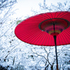 『お休み処の雪景色』②