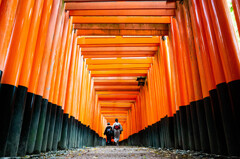 千本鳥居の雅　Ⅱ