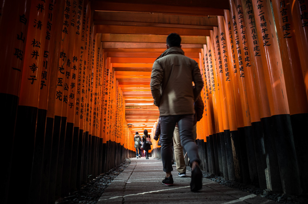 鳥居のトンネルを歩く。