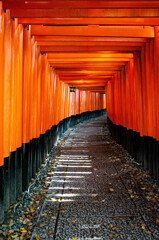千本鳥居を進む　Ⅲ
