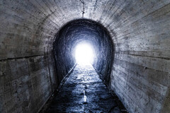 白浜番所山公園のトンネル