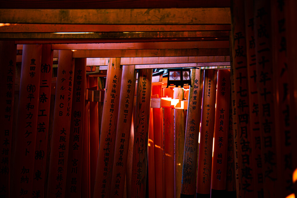 朝、千本鳥居で　Ⅴ