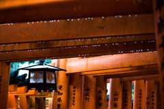 千本鳥居で　Ⅲ
