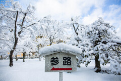 雪が積もる案内札