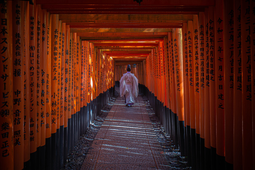 朝の千本鳥居にて