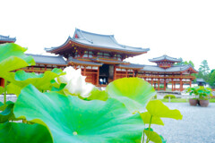 極楽の池の御堂