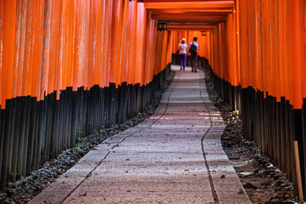 朝の千本鳥居で　Ⅵ
