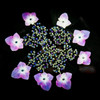 紫陽花の冠