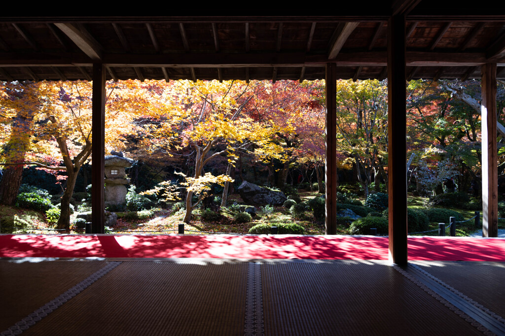 圓光寺 晩秋の十牛之庭