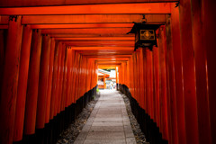 鳥居のトンネル