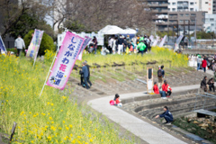 しながわ花街道