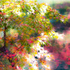 Colors ー永観堂の秋