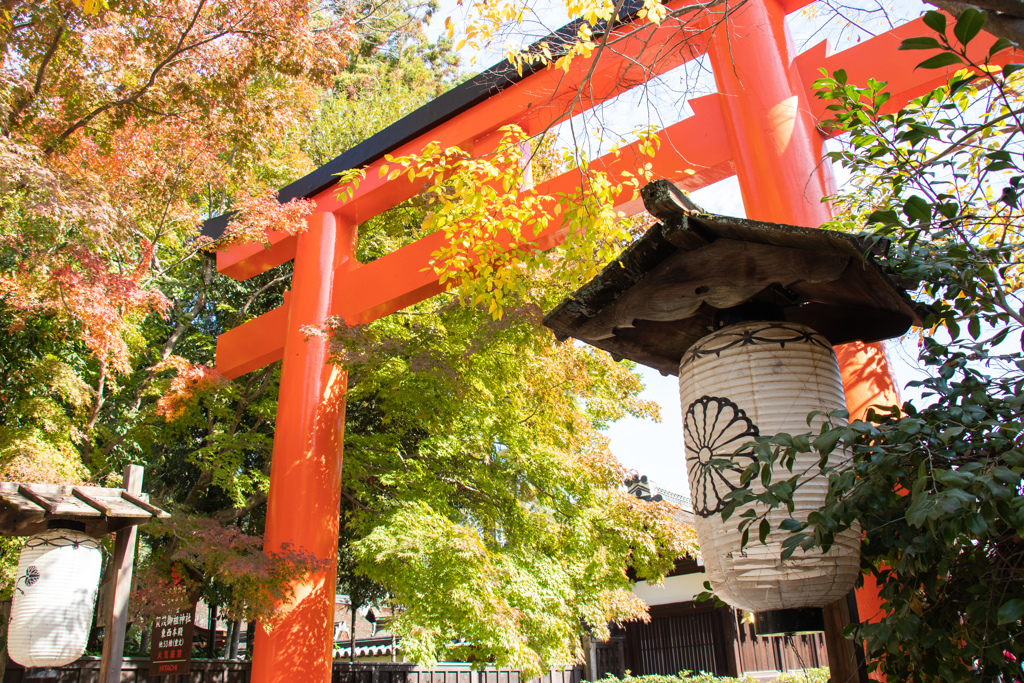 『紅葉に飾られる鳥居』