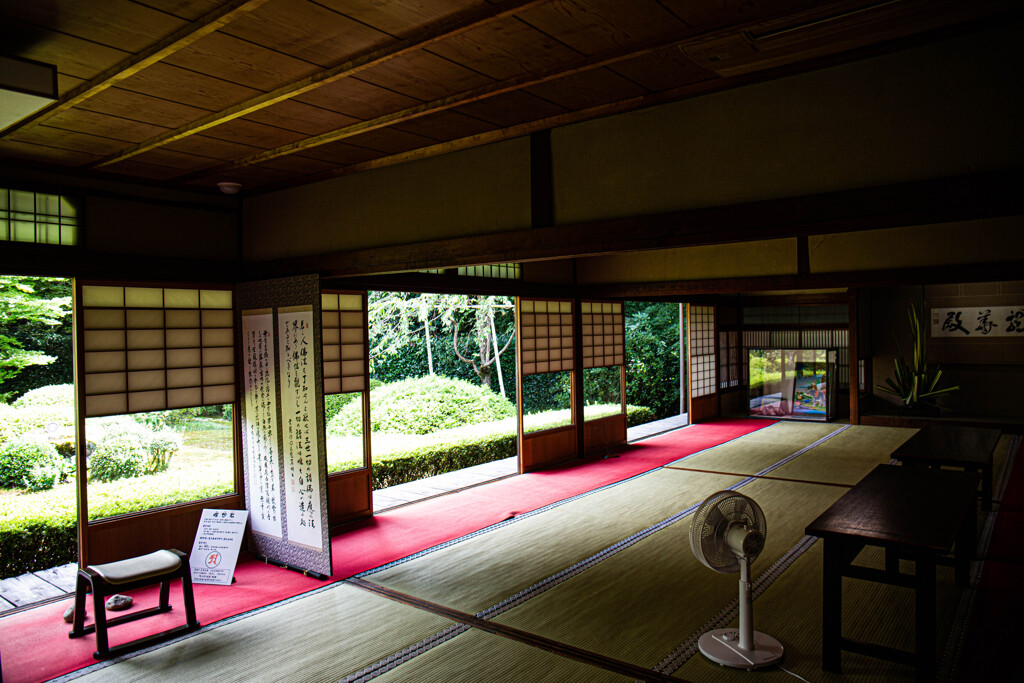 夏・雲龍院大輪の間で　Ⅳ