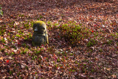 圓光寺、紅葉散る頃　Ⅱ