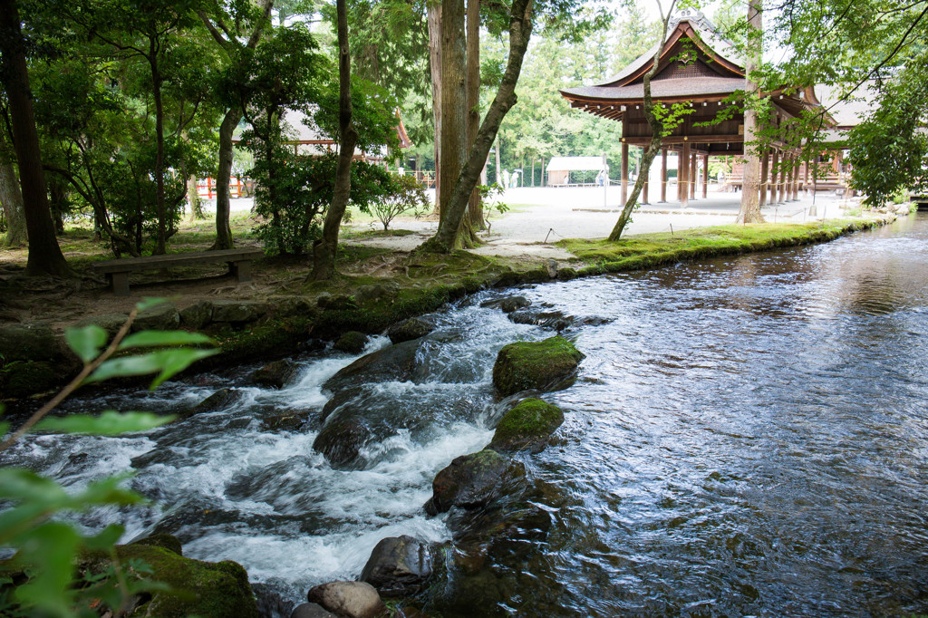 楢の小川