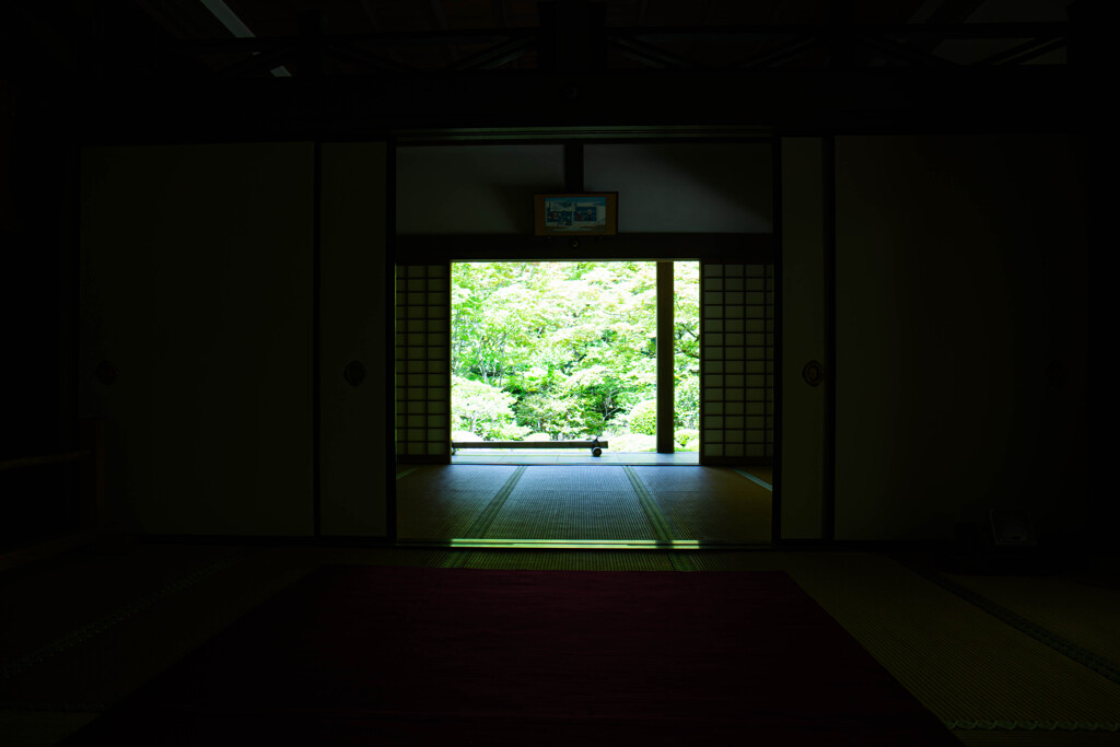 新緑の金剛輪寺で　Ⅳ