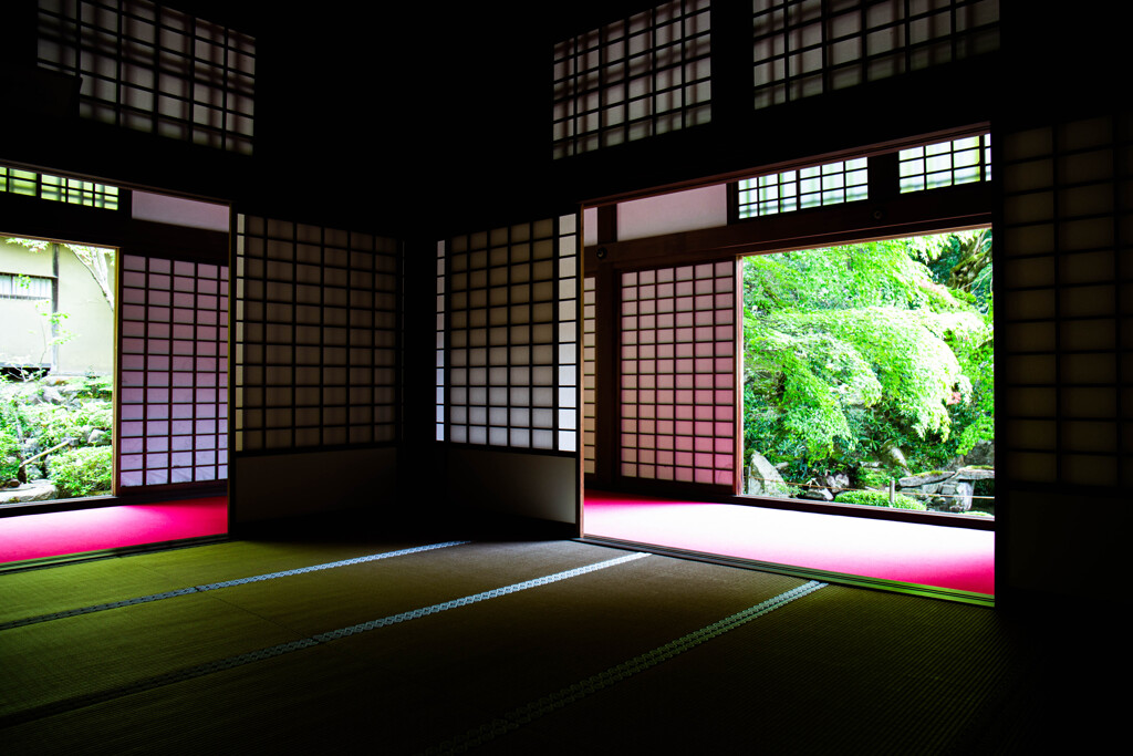 新緑の金剛輪寺にて　Ⅱ