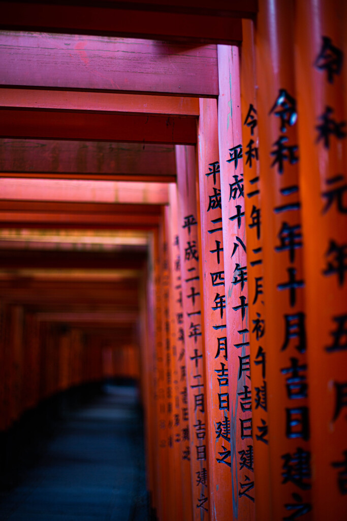 千本鳥居　Ⅸ