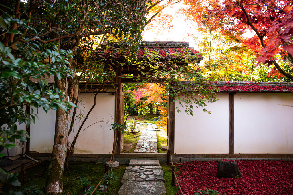 晩秋の今福寺にて
