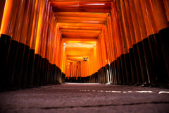 朝の千本鳥居にて。　Ⅲ