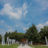 上賀茂神社と夏の空　Ⅱ