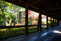 東福寺紅葉のパノラマ