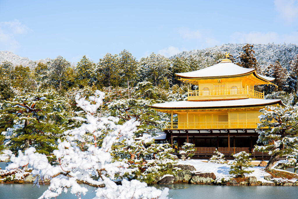 冬の金閣寺　Ⅶ