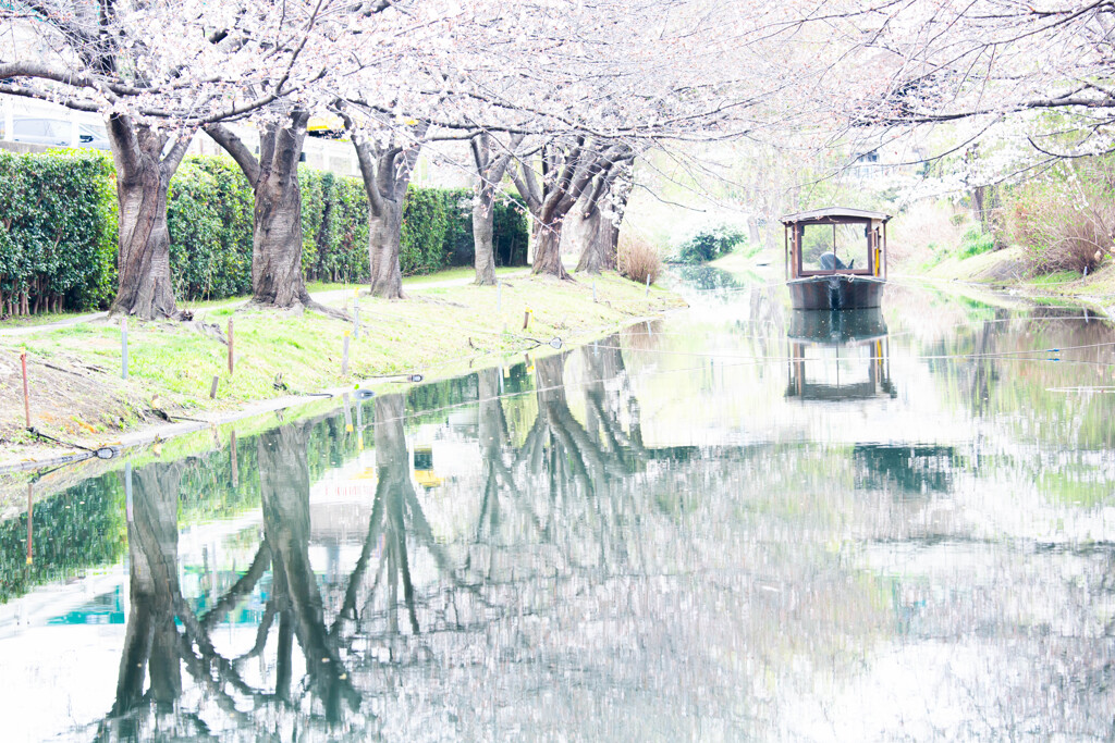 十石舟のある春景色　Ⅰ