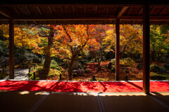 晩秋の圓光寺で　Ⅰ