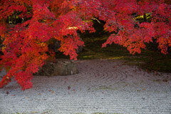 天授庵で愛でる紅葉　Ⅳ