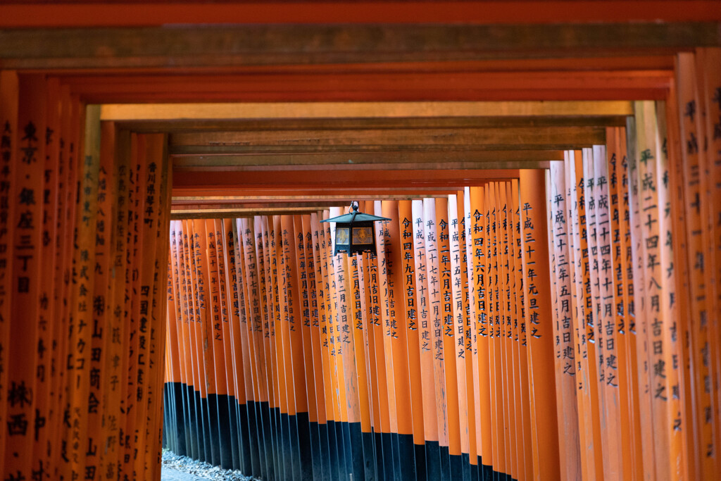 千本鳥居を撮る。②