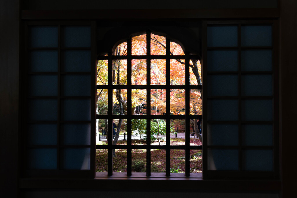 圓光寺 窓の秋景色