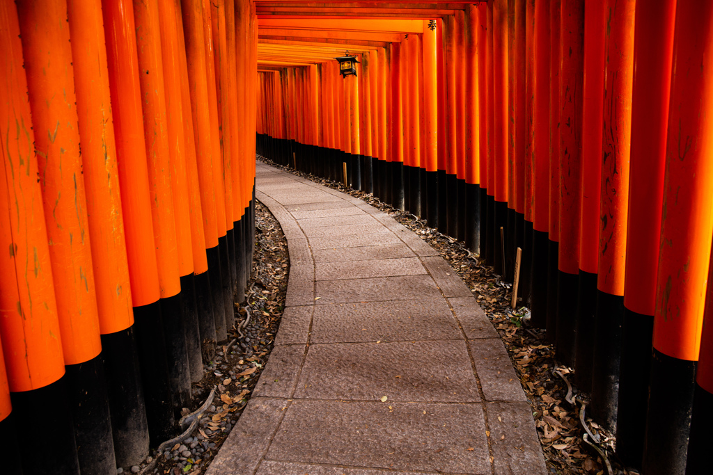 千本鳥居にて