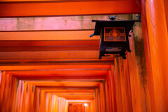 千本鳥居にて　Ⅱ