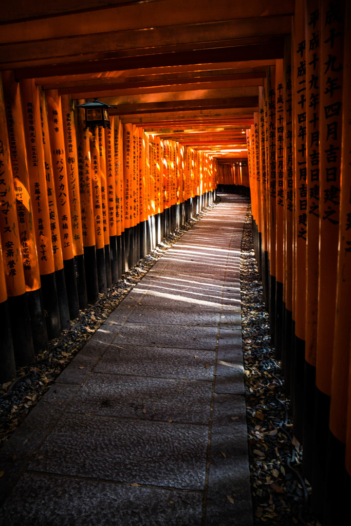 『千本鳥居へようこそ』　④
