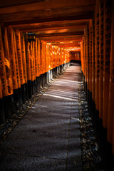 『千本鳥居へようこそ』　④