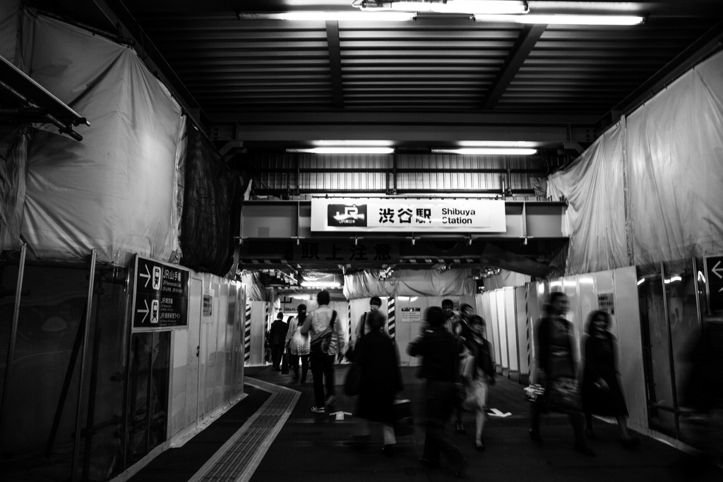 Shibuya Now  Ⅳ