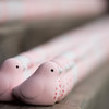 一願成就の鳩、鳩、鳩、鳩･･･