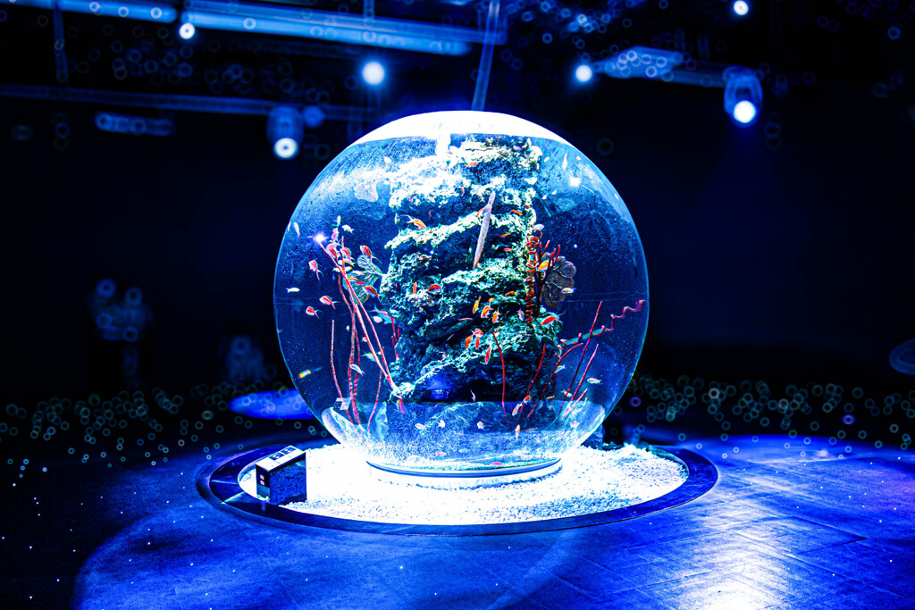 アクアリウムとアートが融合する水族館 Ⅰ_20220312 by izzuo119 （ID