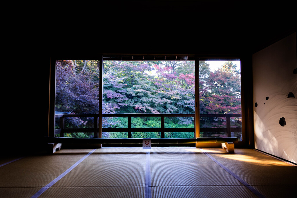 光明院 晩秋の佇まい　Ⅲ