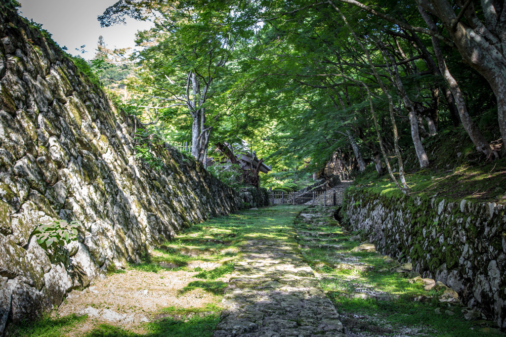 湖東三山・百済寺　－石垣の参道