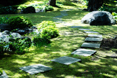 木漏れ日の庭