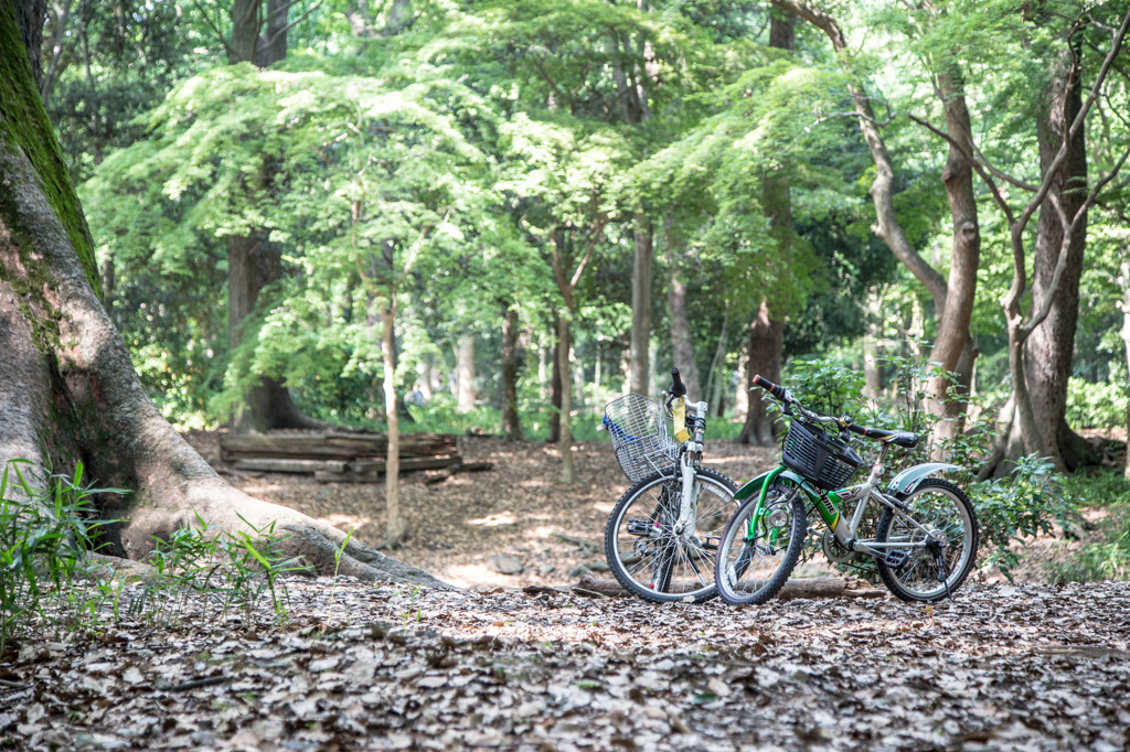 MTB×森