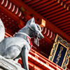 楼門の狐