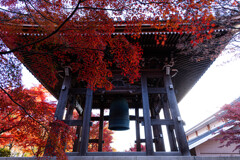 晩秋の智積院で　Ⅱ