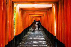 千本鳥居を進む　Ⅴ