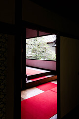 雲龍院の赤い廊下