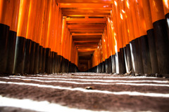 『ゼブラの花道』